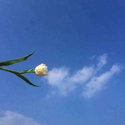 血战三国志手游变态版下载